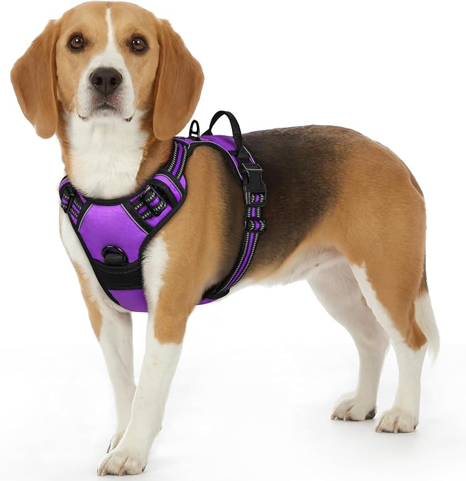 Eagloo Dog Harness for Small Dogs, No Pull Pet Vest with 2 Leash Clips | No Choke with Handle, Adjustable Comfort Fit, Reflective Strips, Easy Walking Control, Purple, Small by GoExplorewithEagloo