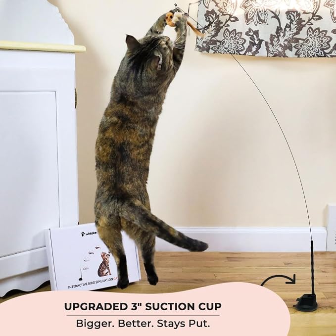 Whiskertons Interactive Bird Simulation Cat Toy Set, Interactive Cat Toys for Indoor Cats, Cat Feather Toy, Self-Holding Suction Base, 5 Replacement Birds, Feathers & Bells, Realistic Bird Impression - Image 2