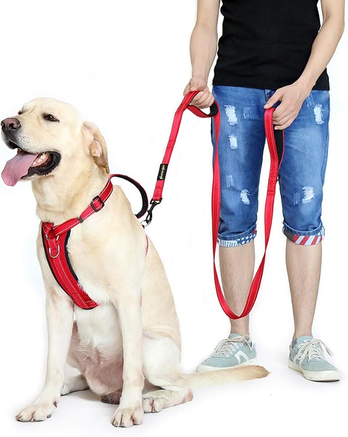 Plutus Pet Double Handle Dog Leash, 6 FT Long, for Medium Large Dogs | Reflective Nylon, Soft Padded 2 Handles, Heavy Duty for Training, Dual Handle Lead, 6 FT x 1”, Red - Image 3
