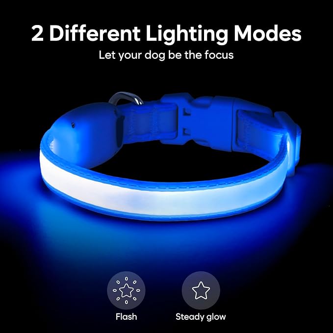 Light up Collar for Small Dog,Vizpet XS Adjustable Size Nylon Led Collar | USB Rechargeable Bright Safety Pet Collar for Cats Small Dogs (Blue, X-Small[ 8.66-11.9 inch/22cm-30cm]) - Image 2