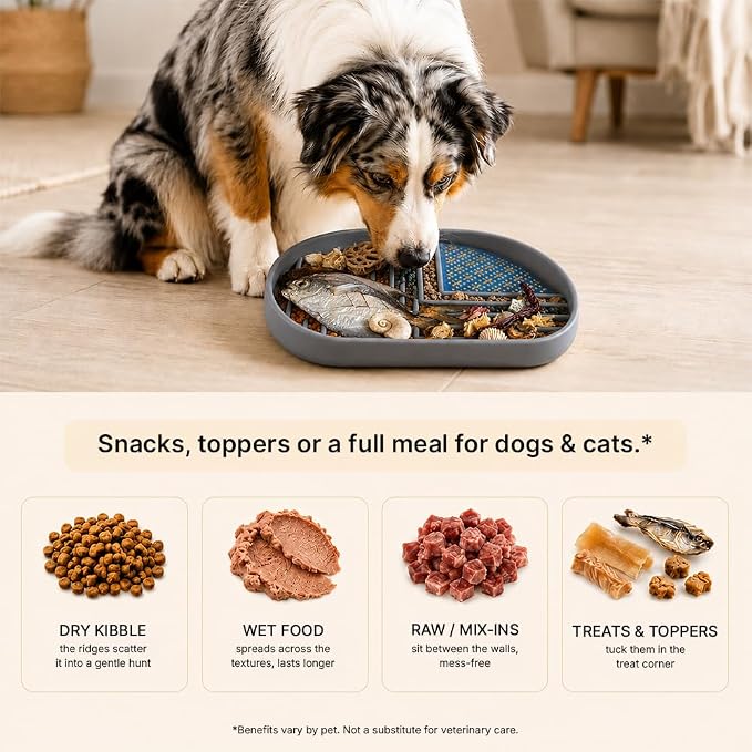 Snack Dish Slow Feeder Bowl for Dogs & Cats – Dual Pattern Design with Treat Corner, Mess-Free Feeding, Dishwasher Safe | Kubi Pets | (Gray) - Image 6