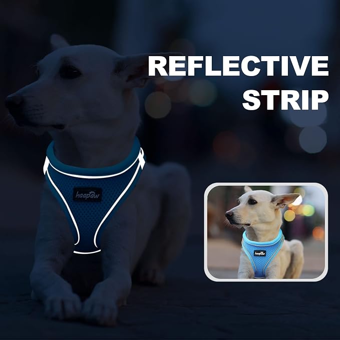 haapaw Dog Harness with Leash Set, No Pull Adjustable Reflective Step-in Puppy Harness with Thickened Padded Vest for Extra-Small/Small Medium Dogs - Image 5