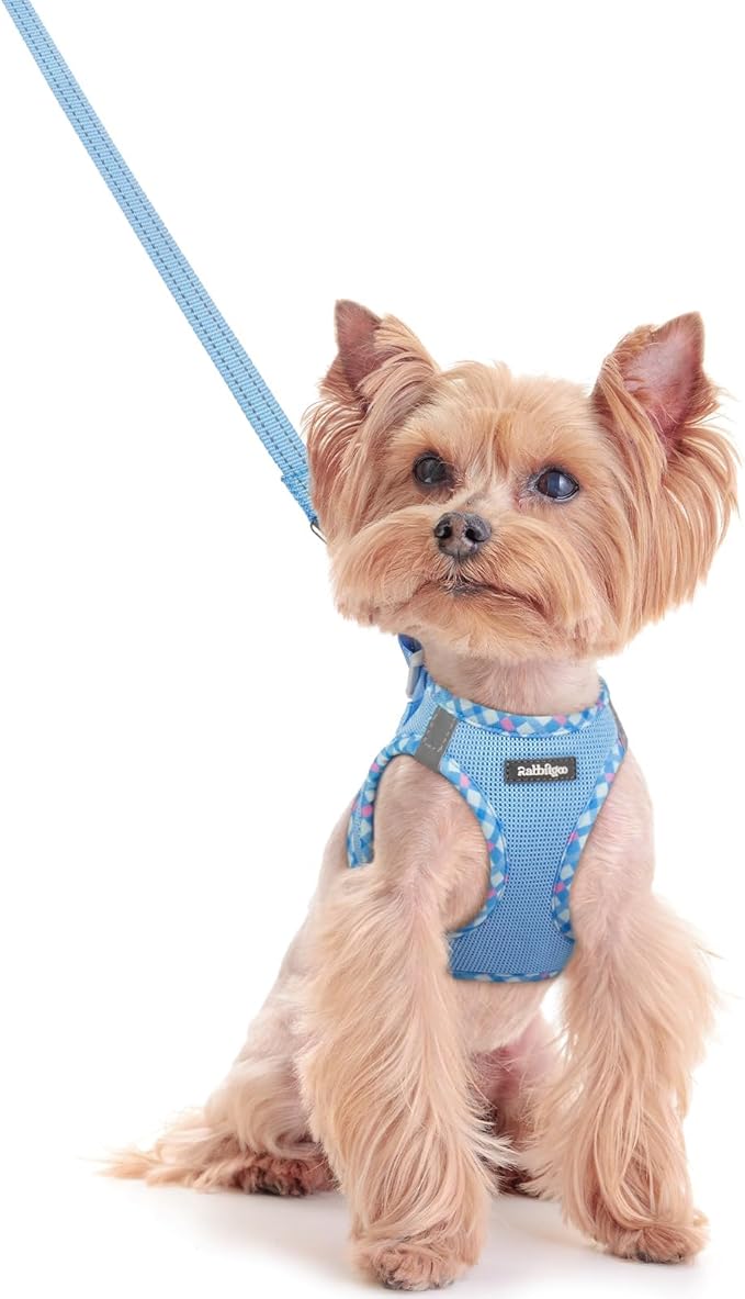 rabbitgoo Dog Harness Small Sized and Leash Set, Step-in Puppy Pet Vest | Light, Soft, Breathable Air Mesh, Easy on and Remove with Hook & Loop, Secure Reflective for Walking, Blue & Plaid Trim XXS by rabbitgoo