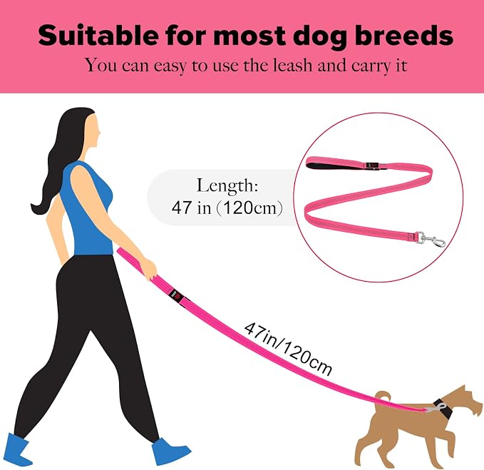 Illumifun LED Dog Leash - USB Rechargeable Light Up Dog Leash Glow in the Dark, Nylon Glowing Dog Lead for Your Dogs Walking (PinkⅡ) - Image 5