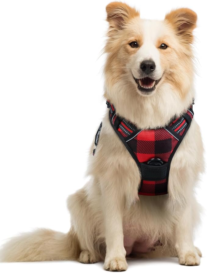 rabbitgoo Dog Harness, No Pull Medium Sized with 2 Leash Clips, Pet Vest | No Choke with Handle, Adjustable Soft Padded, Reflective, Easy Control for Walking, Red Plaid, Small by rabbitgoo