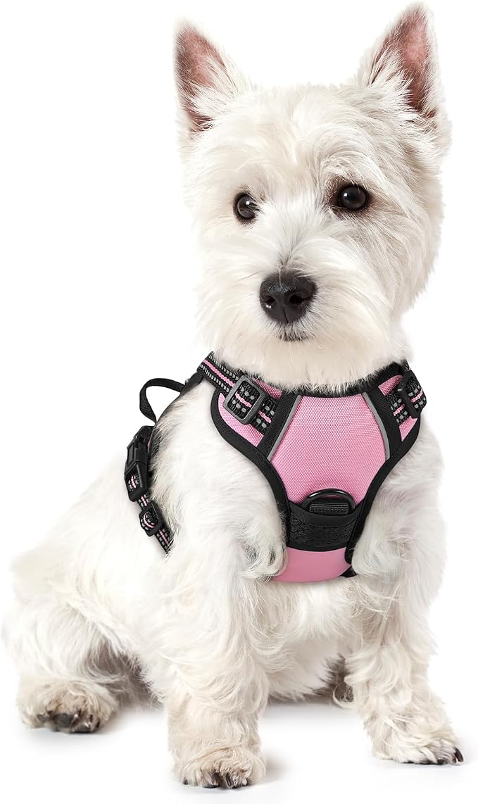 rabbitgoo Dog Harness No Pull with 2 Leash Clips, Adjustable Soft Padded, Reflective Oxford No Choke Pet Vest with Easy Control Handle for Puppy, Pink, XS | No Choke with Handle, Adjustable Soft Padded, Reflective, Easy Control for Walking, Pink, X-Small by rabbitgoo