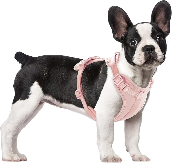 Wisedog Lightweight No Pull Dog Harness, Gossamer Pink, Medium | Air Mesh, 3 Clips, Adjustable, No Choke Design, Ideal for Walking Training by WisedogPetSupplies