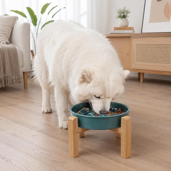 Ceramic Slow FeederDog Bowl for Medium Large Dogs,Heavy Weighted,Puzzle Eating Bowl Modern Maze (Stars Mark-Forest Green, 8.66in) - Image 6