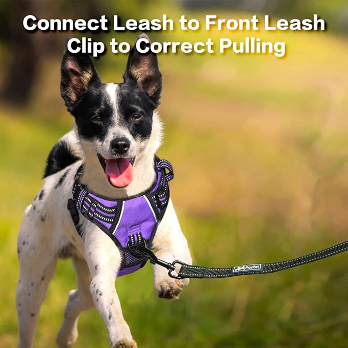 PoyPet No Pull Dog Harness with 3 Leash Clips and Vertical Handle | No Choke, Reflective, Adjustable, Soft Padded, Dog Vest for Large Dogs, Walking Training, Purple, XL - Image 5