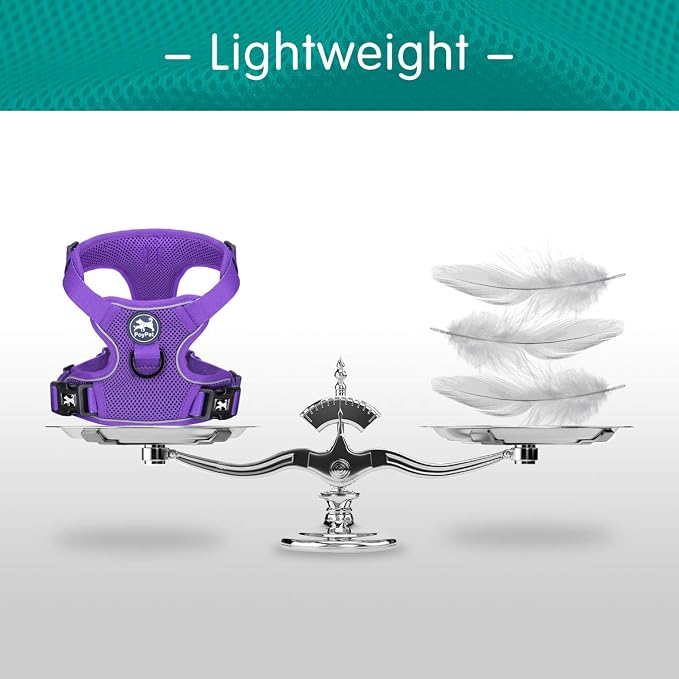 PoyPet Mesh Dog Harness, Reflective Breathable Puppy Vest for Small Dogs | Lightweight, Soft Air Mesh, Back D-ring, Adjustable, Comfortable, Double Padded, No Choke, for Daily Walking, S, Purple - Image 5