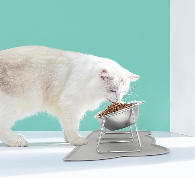 Elevated Cat Bowls, 2 Pack Raised Cat Food Water Bowls with Non-Slip Placemat, 15° Tilted Stand Anti Vomiting Stainless Steel Pet Food Feeding Dishes Plate for Cats Kitten Puppies Dogs Small Animals - Image 7