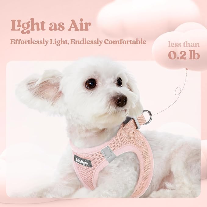 rabbitgoo Dog Harness Small Sized and Leash Set, Step-in Puppy Pet Vest | Light, Soft, Breathable Air Mesh, Easy on and Remove with Hook & Loop, Secure Reflective for Walking, Pink XXXS - Image 3