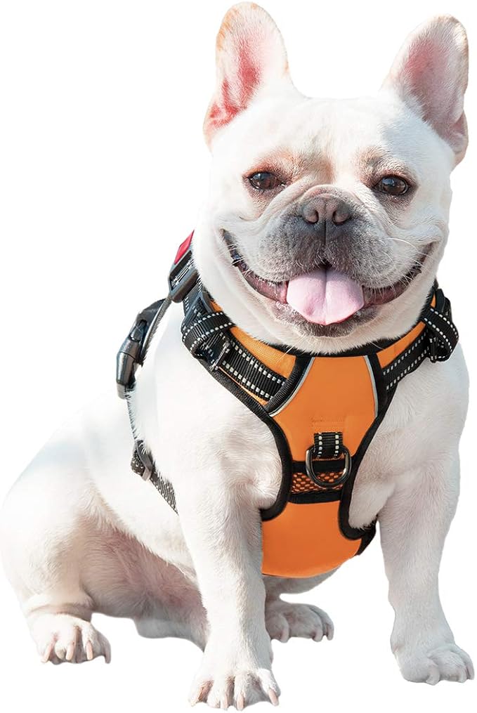 No Pull Dog Harnesses for Small Dogs Reflective Adjustable | Front Clip Vest with Handle 2 Metal Rings 3 Buckles [Easy to Put on & Take off] (S, Orange) - Image 8
