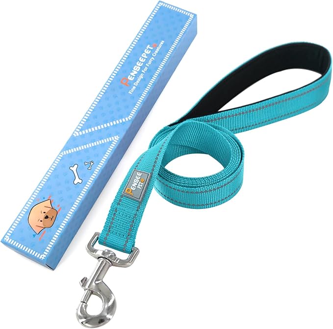 6 FT Basic Dog Leash for Small Dogs,Sky Blue | Padded Handle,Metal D-Ring,Heavy Duty Nylon Webbing, for Walking & Training - Image 6