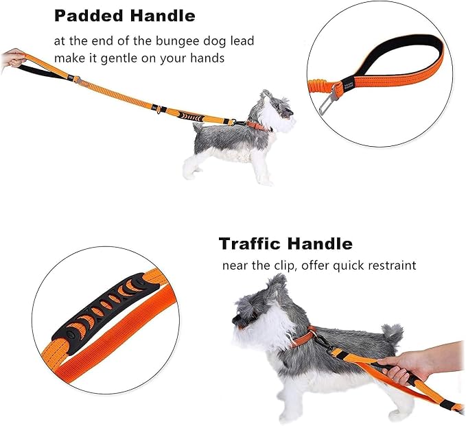 Heavy Duty Bungee Dog Leash with Locking Carabiner for Large Dogs | No Pull Bungee Shock Absorbing, 2 Padded Handles for control, Fits 60-150 lbs Dogs, Seatbelt Buckle, Reflective - Image 3
