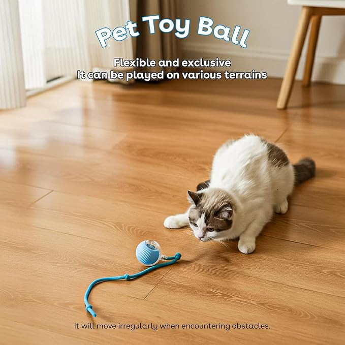 Interactive Cat Toy Ball, Automatic Intercative Cat Toys for Indoor Cats, The 3rd Generation Agile Moving Cat Ball with Elastic Mesh Tail, Toys for Indoor Adult Cats, Motion Activated (Blue) - Image 4