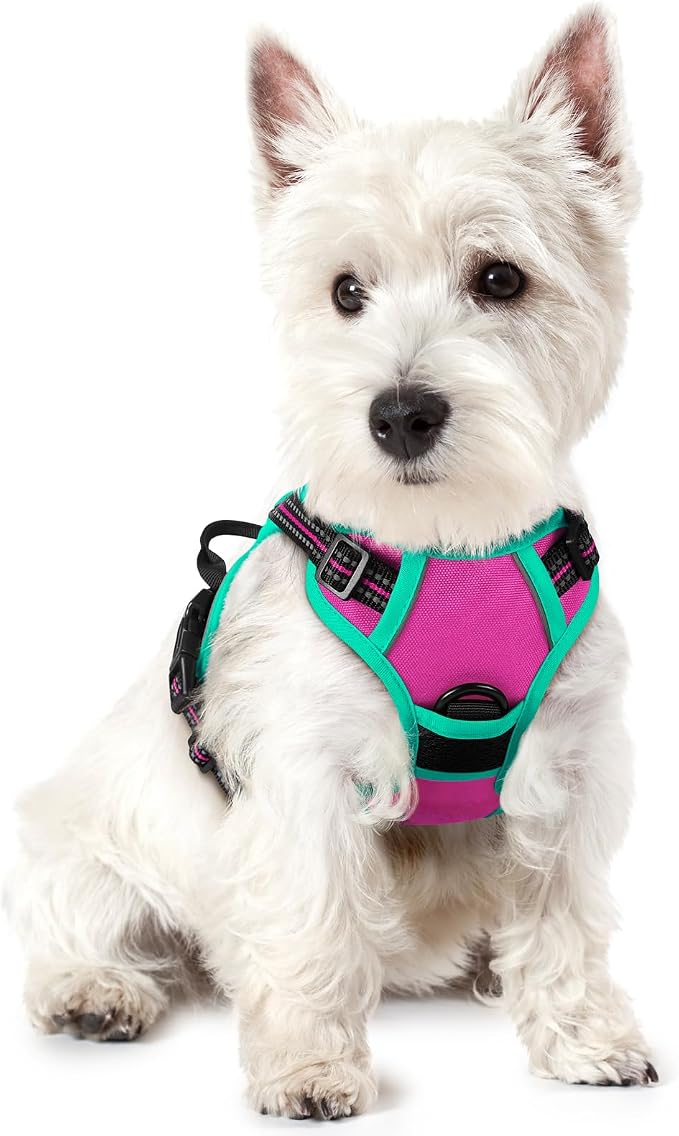 rabbitgoo Dog Harness, No Pull for Small Dogs with 2 Leash Clips, Pet Vest | No Choke with Handle, Adjustable Soft Padded, Reflective, Easy Control for Walking, Hot Pink & Turquoise, X-Small by rabbitgoo