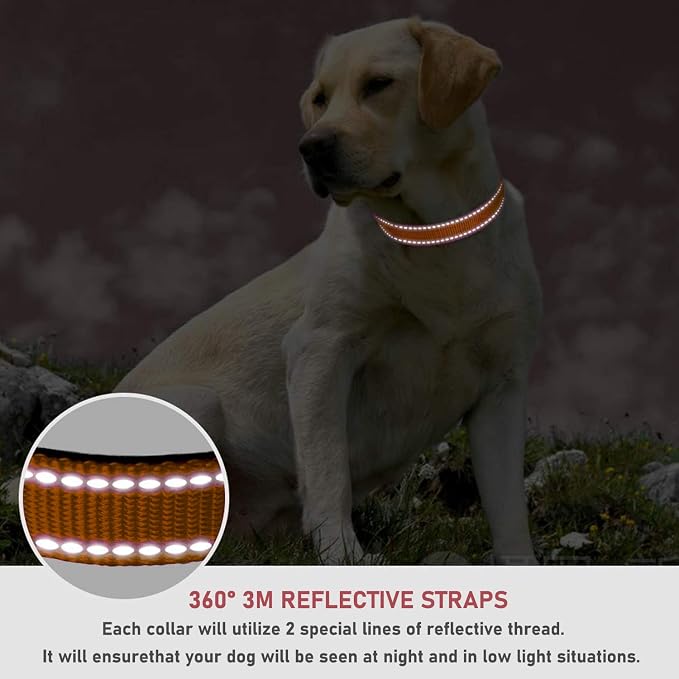 Reflective Dog Collar with Buckle Adjustable Safety Nylon Collars for Small Medium Large Dogs, Orange M | No Chafing on Walks and Outdoor Hikes, Metal D-Ring, Night Safety - Image 4
