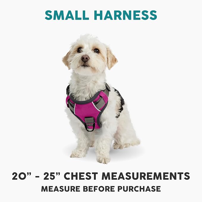 Embark No Pull Dog Harness, Reflective Adjustable Training Vest, No Choke | Adjustable straps fit all dog breeds with sturdy hooks; 360° reflective trim, soft padded Harness Design for All Dogs - Image 3