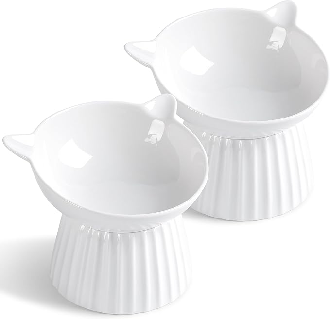 Ceramic Raised Cat Bowl，Tilted Raised Bowl Anti Vomit for Indoor Cats Whisker Friendly Pet Feeder for Cats Puppies, Microwave and Dishwasher Safe (White-2 Pack) by Wellbro