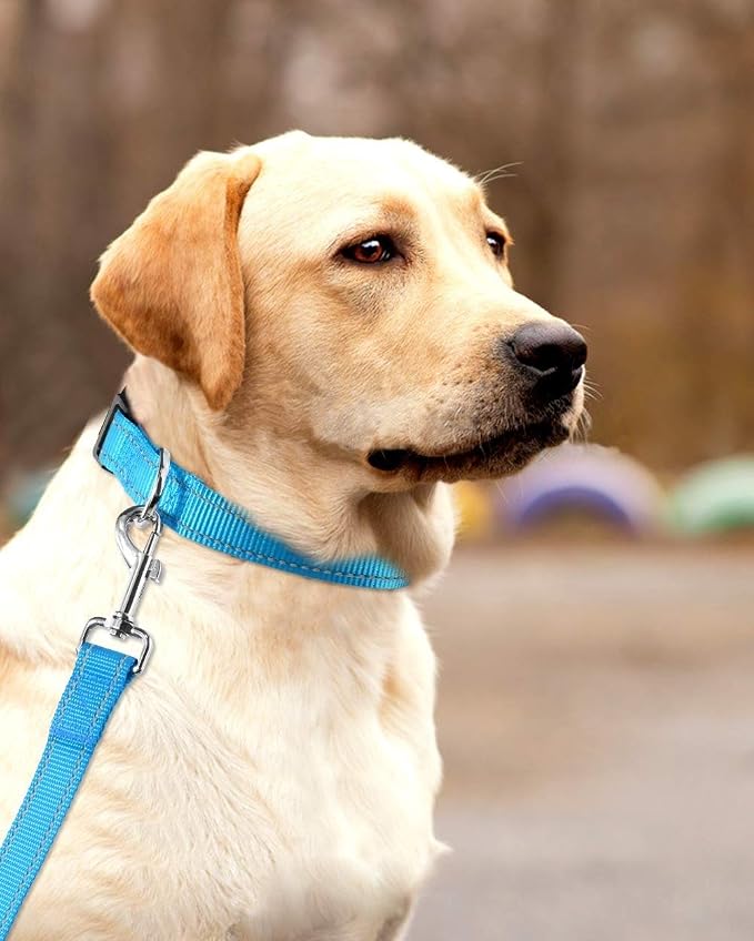 Reflective Dog Collar with Buckle Adjustable Safety Nylon Collars for Small Medium Large Dogs, Blue L | Breathable, No Chafing on Walks and Outdoor Hikes, Metal D-Ring, Night Safety - Image 7