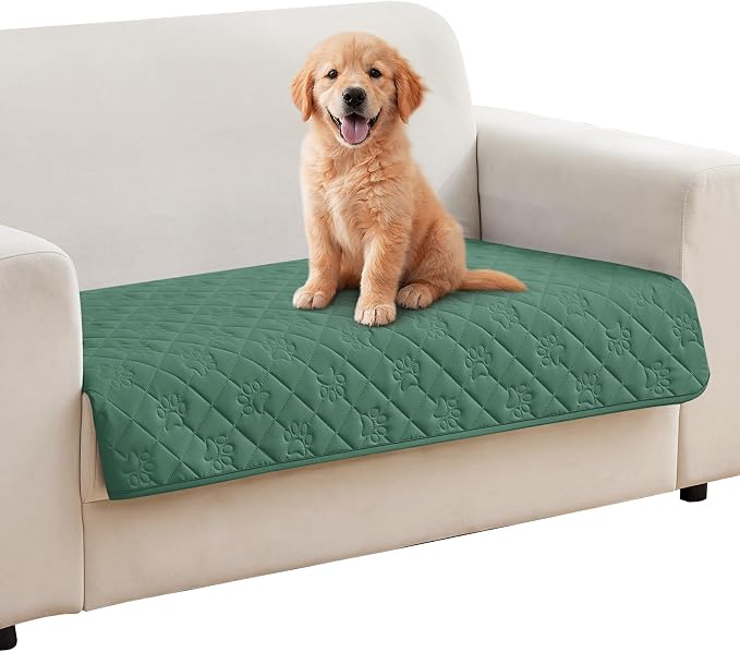 PAWFINITY Waterproof Loveseat Covers for Dogs, Pet Blanket for Couch | Paw Print Quilted, Hair Resistant, Anti Cat Scratch, Washable Protector for 2 Seat Sofa & Chair Cushion, 30x62 Inch, Green by Pawfinity
