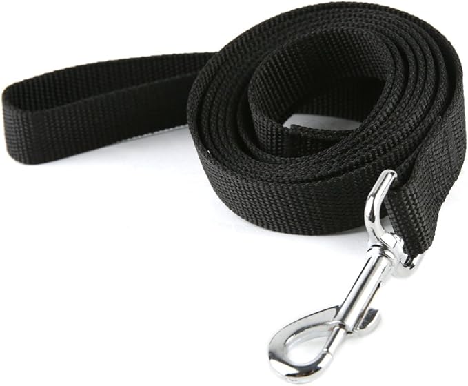 Nylon Dog Training Leash, Traction Rope, 4Ft /5 Foot /6 Feet Long, 5/8 inch 3/4 Inch 1 Inch Wide, for Small and Medium Dogs by TAIDA