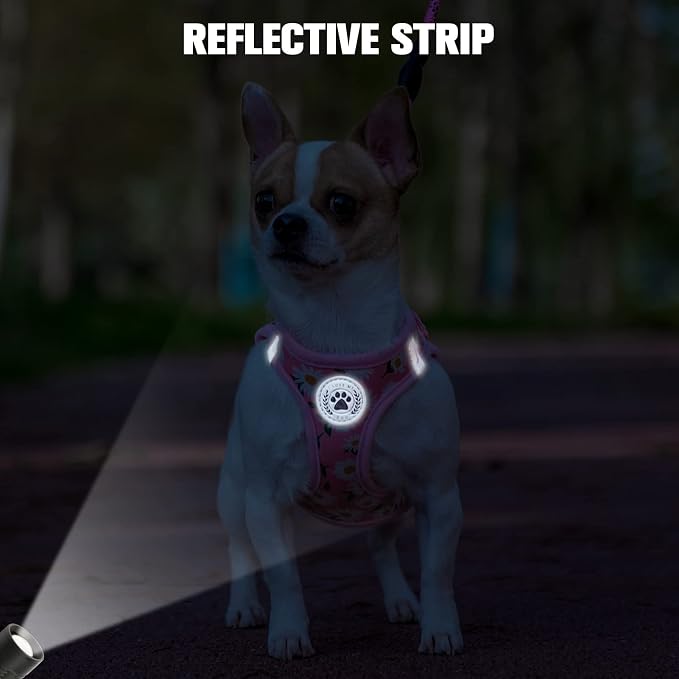 BEAUTYZOO Small Dog Harness and Leash Set,No Pull Puppy Pet Vest-Daisy, XS | Step-in Easy On/Off, All Season Breathable Mesh,Escape-Proof Hook & Loop,Lightweight Reflective,No Choke,Easy Walking Control - Image 7