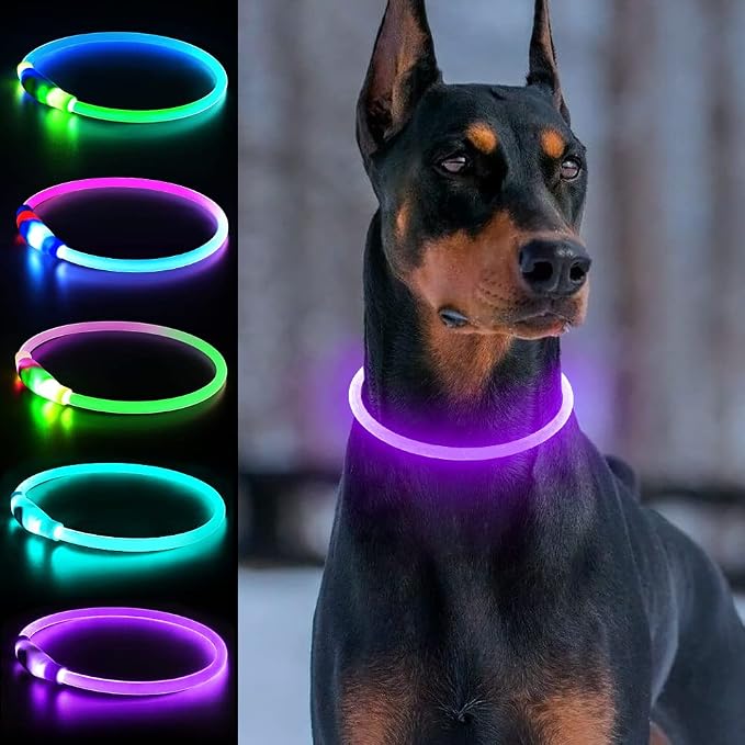 Light Up Dog Collar, USB Rechargeable, LED, Purple | Cuttable TPU, Waterproof, Night Walking, Night Safety, Glow in the Dark, Small Medium Large Dogs, Camping, Outdoor by Dlitk