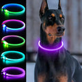 Light Up Dog Collar, USB Rechargeable, LED, Purple | Cuttable TPU, Waterproof, Night Walking, Night Safety, Glow in the Dark, Small Medium Large Dogs, Camping, Outdoor by Dlitk