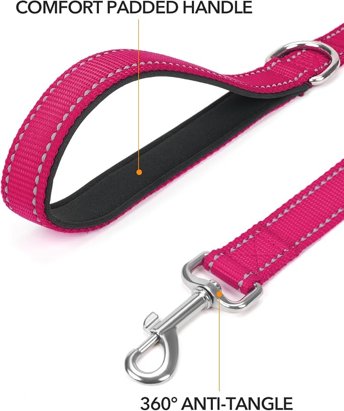 Taglory Reflective Dog Leash for Small Dogs, 3/4in x 6ft, Hot Pink | Ideal for Night Walking, Strong for Sudden Pulls, Lightweight & Gentle on the Neck, Soft Padded Handle - Image 2