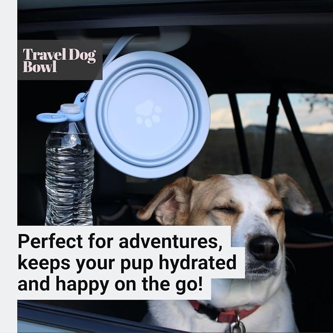 Black Collapsible Travel Dog & Cat Bowl – BPA-Free Silicone & 18/8 Stainless Steel, Portable Non-Slip Food & Water Bowl with Handle, Bottle/Poop Bag Holder – Claim Your - Image 2