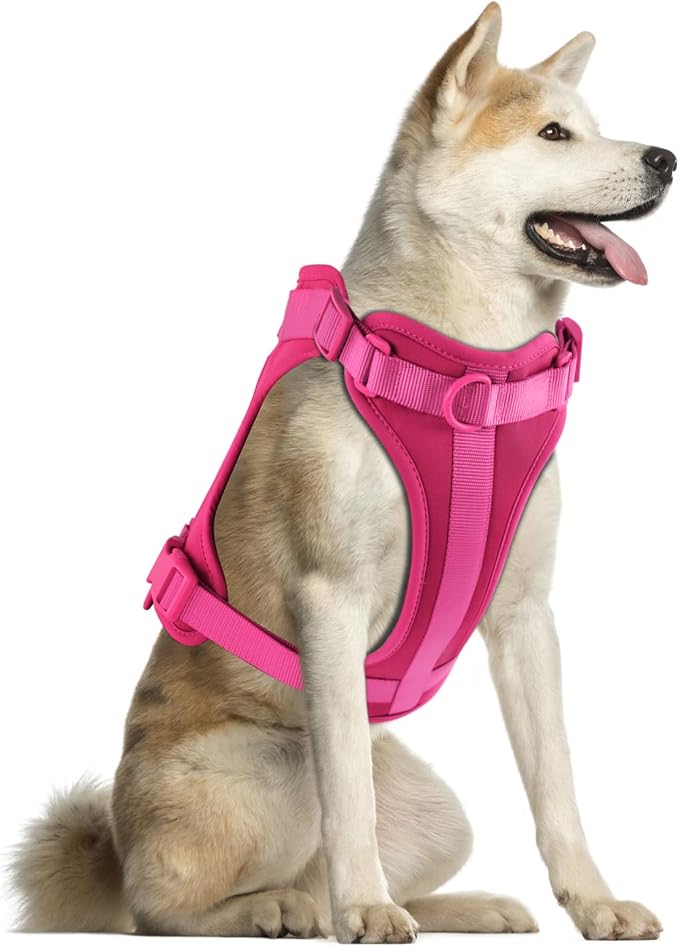 Wisedog Lightweight No Pull Dog Harness, Peacock Pink, Large | Air Mesh, 3 Clips, Adjustable, No Choke Design, Ideal for Walking Training by WisedogPetSupplies