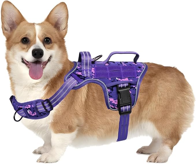 Dog Harness, Tactical No Pull for Small Sized Dog with Handle | Breathable Soft Padded, Adjustable, Reflective, Molle System, Heavy Duty, No Choke for Walking Training, Purple Camo Small by Runfido