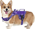 Dog Harness, Tactical No Pull for Small Sized Dog with Handle | Breathable Soft Padded, Adjustable, Reflective, Molle System, Heavy Duty, No Choke for Walking Training, Purple Camo Small by Runfido