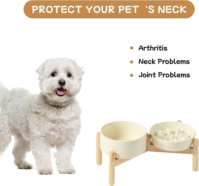 Havniva Elevated Slow Feeder Dog Bowls, Ceramic Dog Bowl Slow Feeder Set | 0.9 Cups Raised Slow Feeder Dog Bowl for Small Breed, 6.1” Dog Water Bowl with Wooden Stand, Puzzle Dog Food Bowl, Non-slip - Image 7