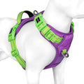 No Pull Dog Harness, Unique Colors Reflective Adjustable Dog Vest | with Soft Training Handle Metal Clips for Small Medium Large Dogs (Purple Base & Green Straps,XS) by PHOEPET