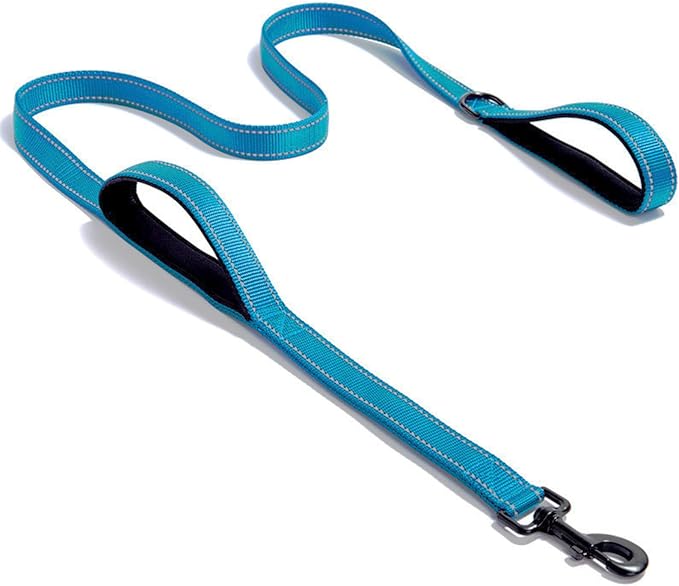 Solmoony 6FT Blue Strong Dog Leash with 2 Padded Handles, Traffic Handle Extra Control, Double-Sided Reflective Walking Lead for Small Medium and Large Dog (Blue, 6FT) by SOLMOONY