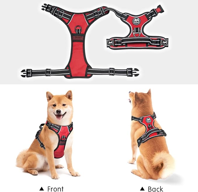 PoyPet No Pull Dog Harness Small with Front Clip & Neck Release Buckle | No Choke, Adjustable Vest, Reflective, Back Clip, Lockable, Soft Padded, Easy Control Handle for Walking Training, XS, Red - Image 5