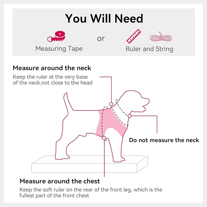 Joytale Step-in Dog Harness, Soft Breathable Mesh, Hot Pink XXXS | Adjustable Fit for Small Dogs, Easy Step-in with Secure Fastener, Even Chest Pressure, Reflective For Night Safety, Washable - Image 7