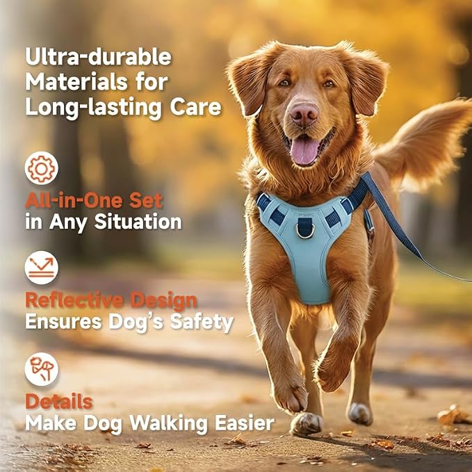 Dog Harness and Leash Set with Collar, No Pull Reflective Pet Vest Harness with Control Handle for Medium Large Dogs Walking and Training - Image 2