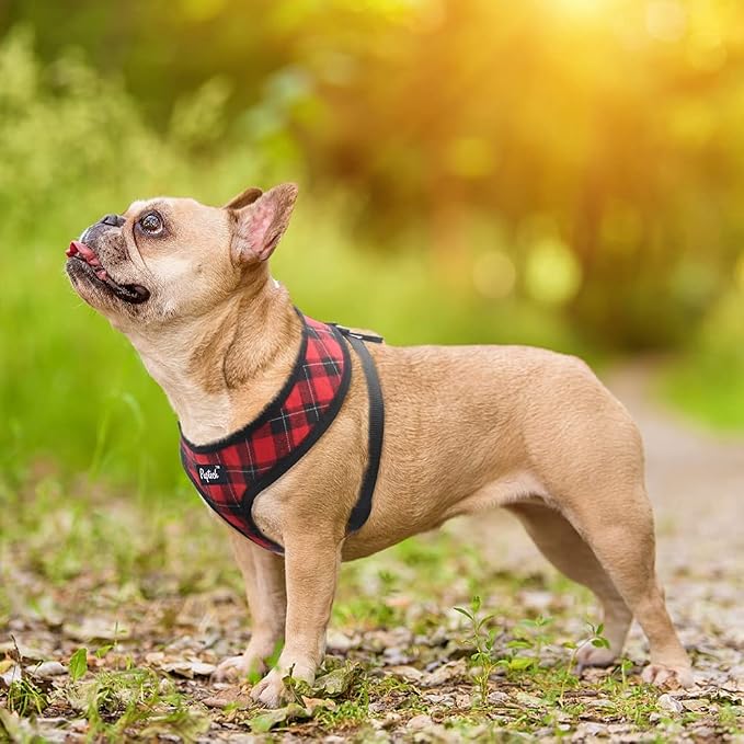 PUPTECK Small Dog Harness and Leash Set No Pull for XS XXS Sized Dogs Puppy | Escape Proof No Choke Pet Cat Adjustable Soft Padded Walking Vest - Image 6