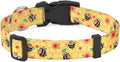 Mihqy Dog Collar for Small Dogs Puppy Cats, Fashion Design, Bee,XS | Neck Fit 7.9"-11.8", Multiple Patterns，4 Sizes for Small Medium Large Dogs, Comfortable for Walks and Outdoor Hikes by Mihqy