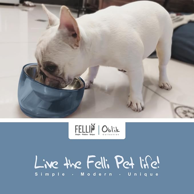 Felli Pet Oblik Acrylic Raised Dog Food Water Bowl Stainless Steel Slanted Oval Dish for Short Leg Puppy & Small Medium Pet, Elevated Tilted Metal Feeder (Shadow, 1.5 Cups Oval Dish) - Image 2