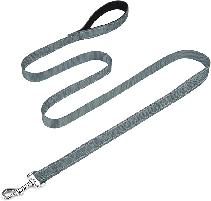 FunTags Reflective Nylon Dog Leash for Medium & Large Dogs, 6FT for Walks | Comfortable Padded Grip, Stay Safe at Night, 360° Anti-Tangle Swivel, for Dog Parks & Trails, Grey by FUNSTARTSHERE