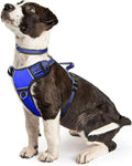 Dog Harness No Pull, Pet Harnesses with Dog Collar, Adjustable Reflective Oxford Outdoor Vest, Front/Back Leash Clips for Small, Medium, Large, Extra Large Dogs, Easy Control Handle for Walking by WINSEE