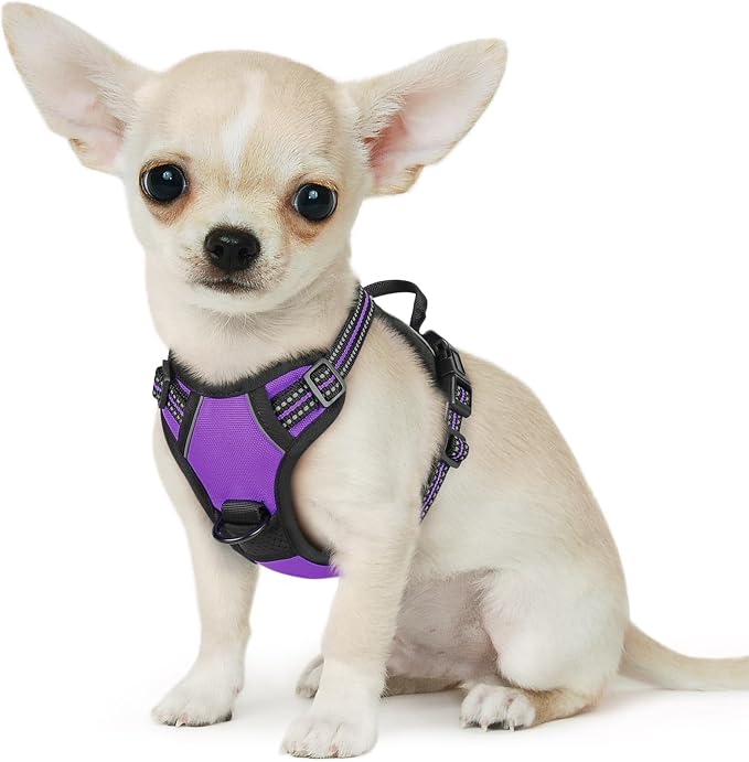 Eagloo Dog Harness for Small Dogs, No Pull Pet Vest with 2 Leash Clips | No Choke with Handle, Adjustable Comfort Fit, Reflective Strips, Easy Walking Control, Purple, X-Small by GoExplorewithEagloo
