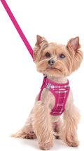 rabbitgoo Dog Harness Small Sized and Leash Set, Step-in Puppy Pet Vest | Light, Soft, Breathable Air Mesh, Easy on and Remove with Hook & Loop, Secure Reflective for Walking, Rose Red Plaid XXS by rabbitgoo