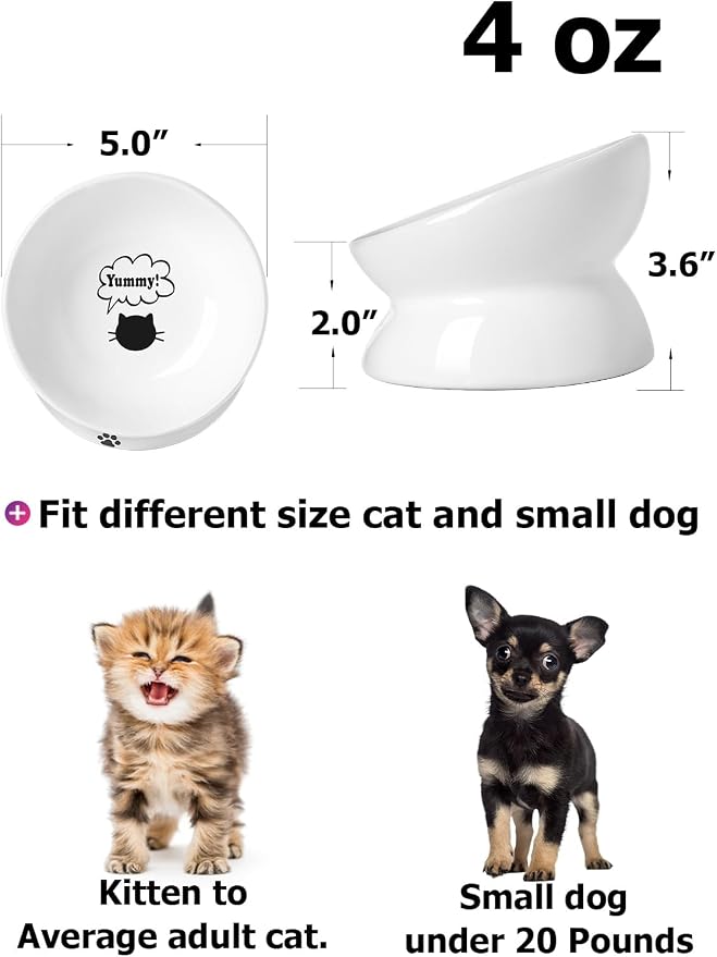 Y YHY Cat Bowl Anti Vomiting, Raised Food Bowls, Tilted Elevated Bowl, Ceramic Pet Food Bowl for Flat Faced Cats, Small Dogs, Protect Pet's Spine, Dishwasher Safe (5 Inches, White) - Image 2
