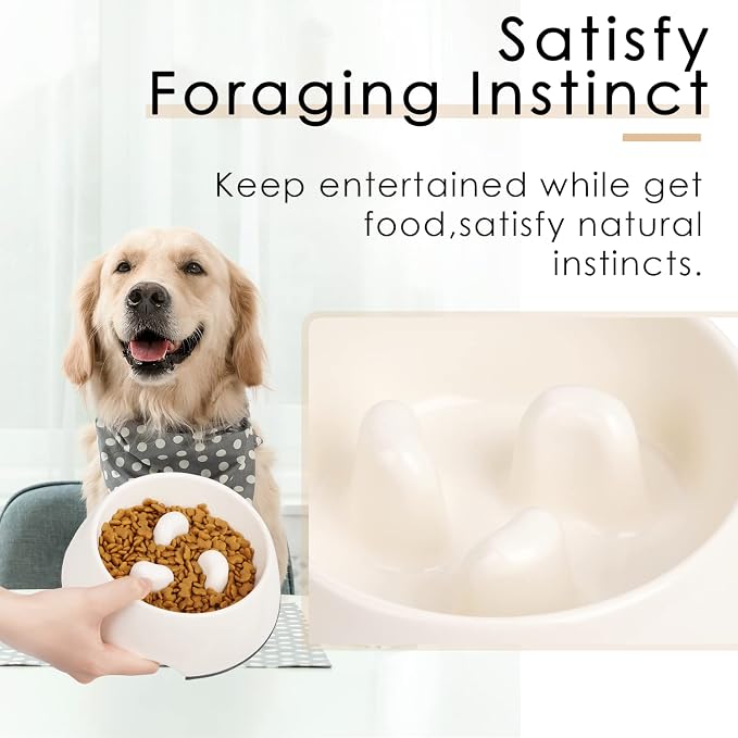 Super Design Slow Feeder Dog Bowl, 1 Cup, Nonslip, Heat-Resistant, Sturdy, Suitable for Small to Medium Sized Dogs - Image 3